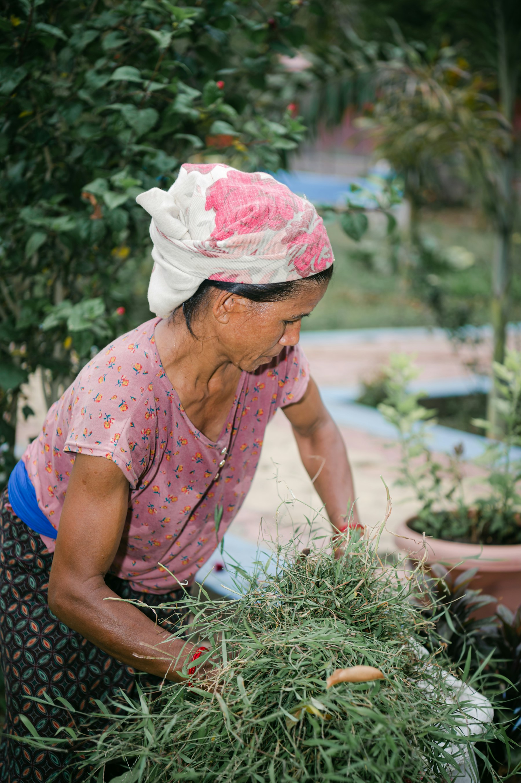 An older woman tending plants in her garden.
